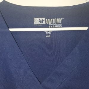 Grey's Anatomy Blue Scrub Top